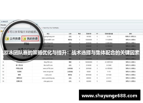 游泳团队赛的策略优化与提升：战术选择与集体配合的关键因素