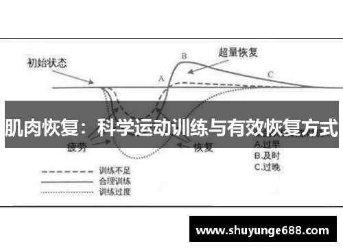 肌肉恢复：科学运动训练与有效恢复方式