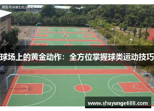 球场上的黄金动作：全方位掌握球类运动技巧