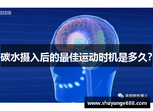 碳水摄入后的最佳运动时机是多久？